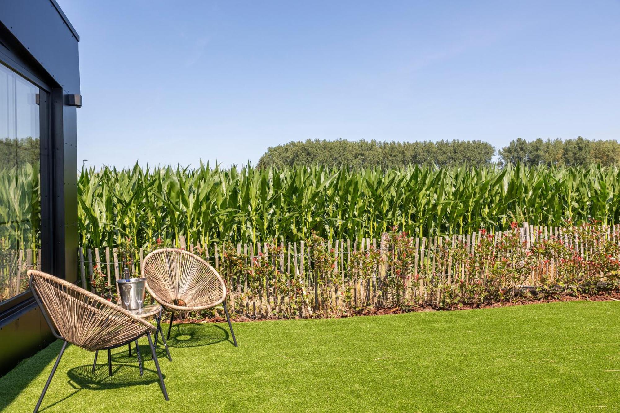 Burgemeestershof Wetteren Bagian luar foto